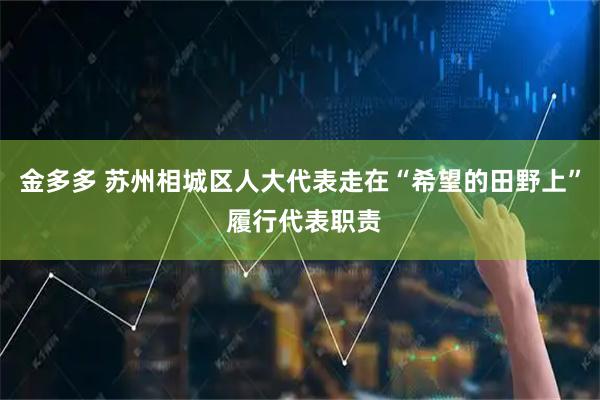 金多多 苏州相城区人大代表走在“希望的田野上” 履行代表职责