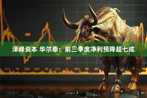 泽峰资本 华尔泰：前三季度净利预降超七成