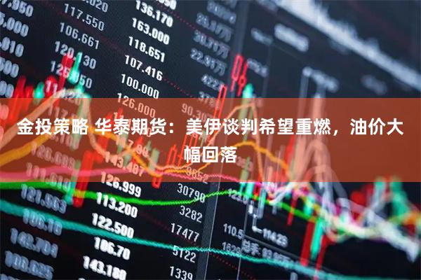 金投策略 华泰期货：美伊谈判希望重燃，油价大幅回落