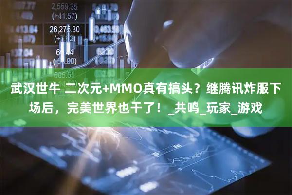 武汉世牛 二次元+MMO真有搞头？继腾讯炸服下场后，完美世界也干了！_共鸣_玩家_游戏
