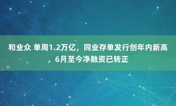 和业众 单周1.2万亿，同业存单发行创年内新高，6月至今净融资已转正